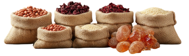 The seeds extracted from watermelon are cultivated in large quantities in western Sudan areas.