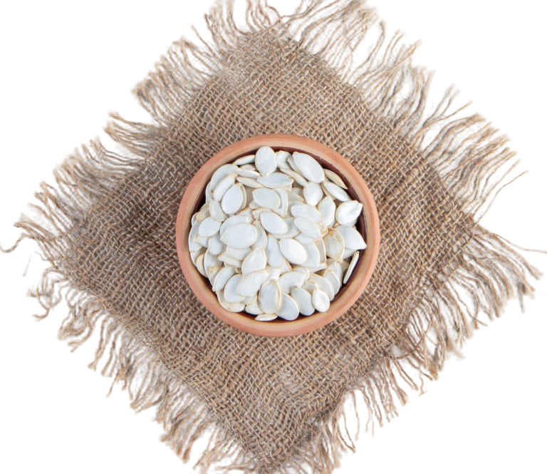 The seeds extracted from watermelon are cultivated in large quantities in western Sudan areas.