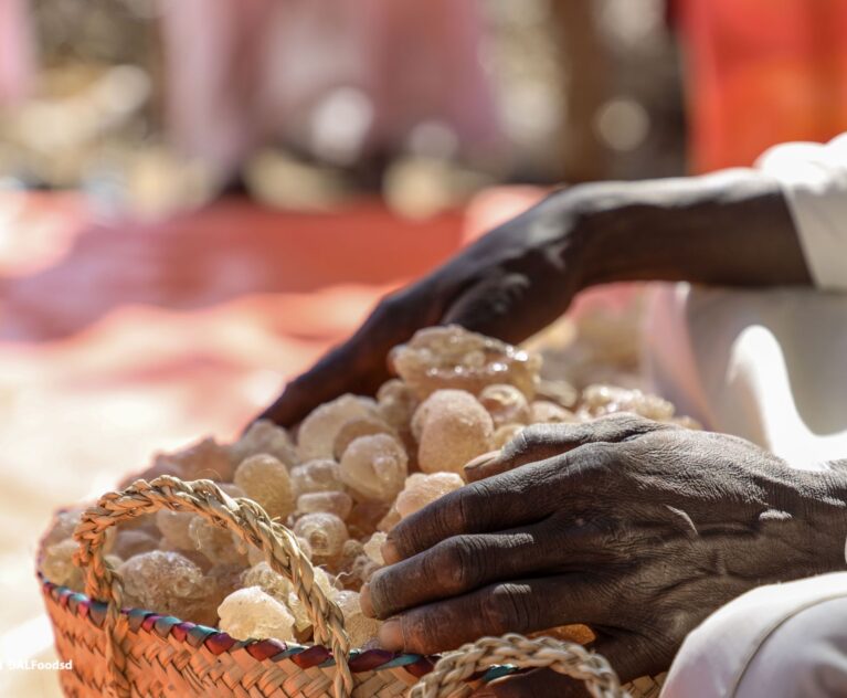 WHY SUDAN PRODUCES 80% OF THE WORLD’S GUM ARABIC