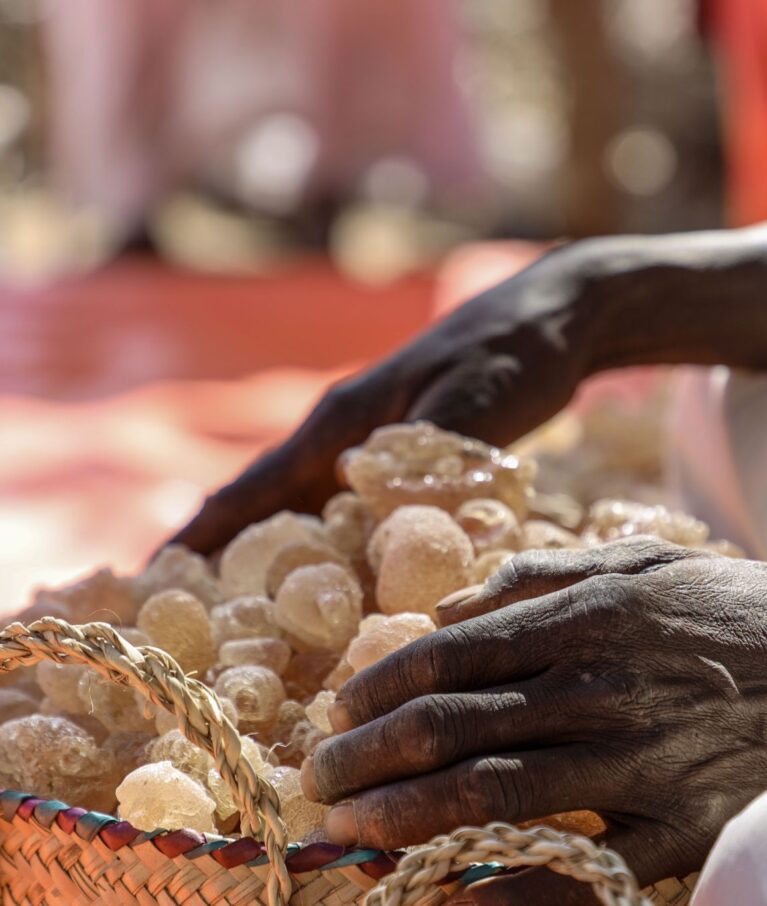 With over 27 years of experience, we are one of Sudan’s most established exporters of gum Arabic, sesame seeds, and Sudanese peanuts. Our long-standing reputation is built on consistency, transparency, and reliability in international trade.