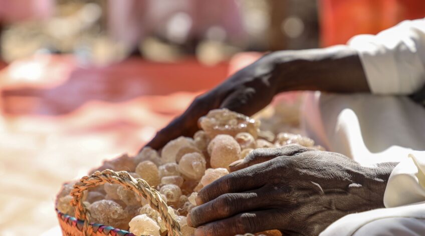 WHY SUDAN PRODUCES 80% OF THE WORLD’S GUM ARABIC