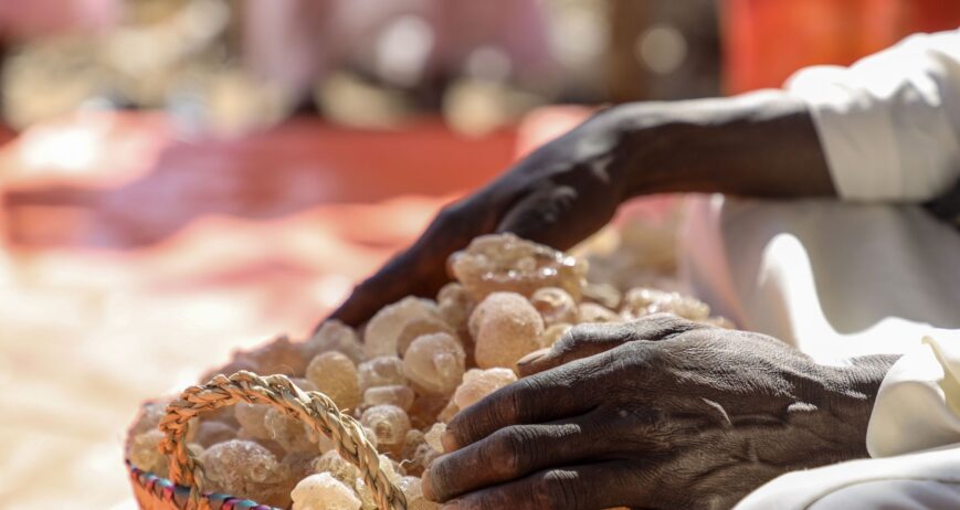 WHY SUDAN PRODUCES 80% OF THE WORLD’S GUM ARABIC