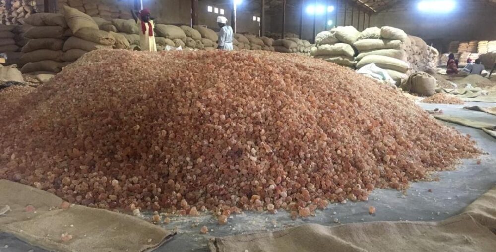 We operate large warehouses in Port Sudan and Kordofan, strategically located near production zones and export routes. Our facilities include quality-control labs And product tracking systems, ensuring every shipment meets international standards