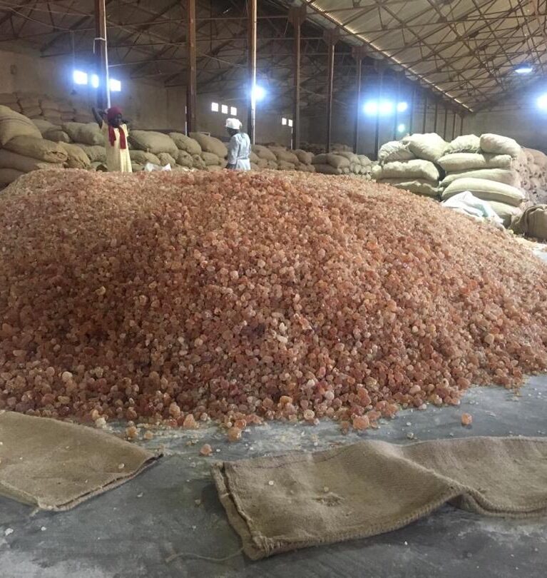 We operate large warehouses in Port Sudan and Kordofan, strategically located near production zones and export routes. Our facilities include quality-control labs And product tracking systems, ensuring every shipment meets international standards