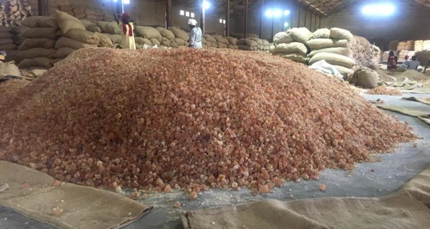 We operate large warehouses in Port Sudan and Kordofan, strategically located near production zones and export routes. Our facilities include quality-control labs And product tracking systems, ensuring every shipment meets international standards
