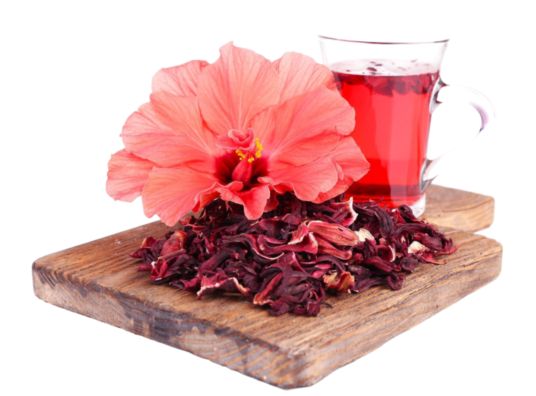 Hibiscus farming is concentrated in Kordofan, and on a lesser scale in Darfur and Blue Nile.