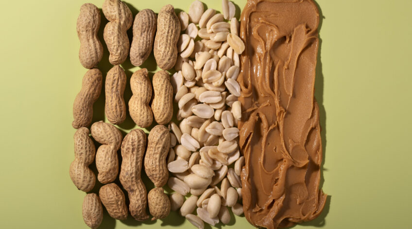 How Sudanese Peanuts Power the Food Industrial