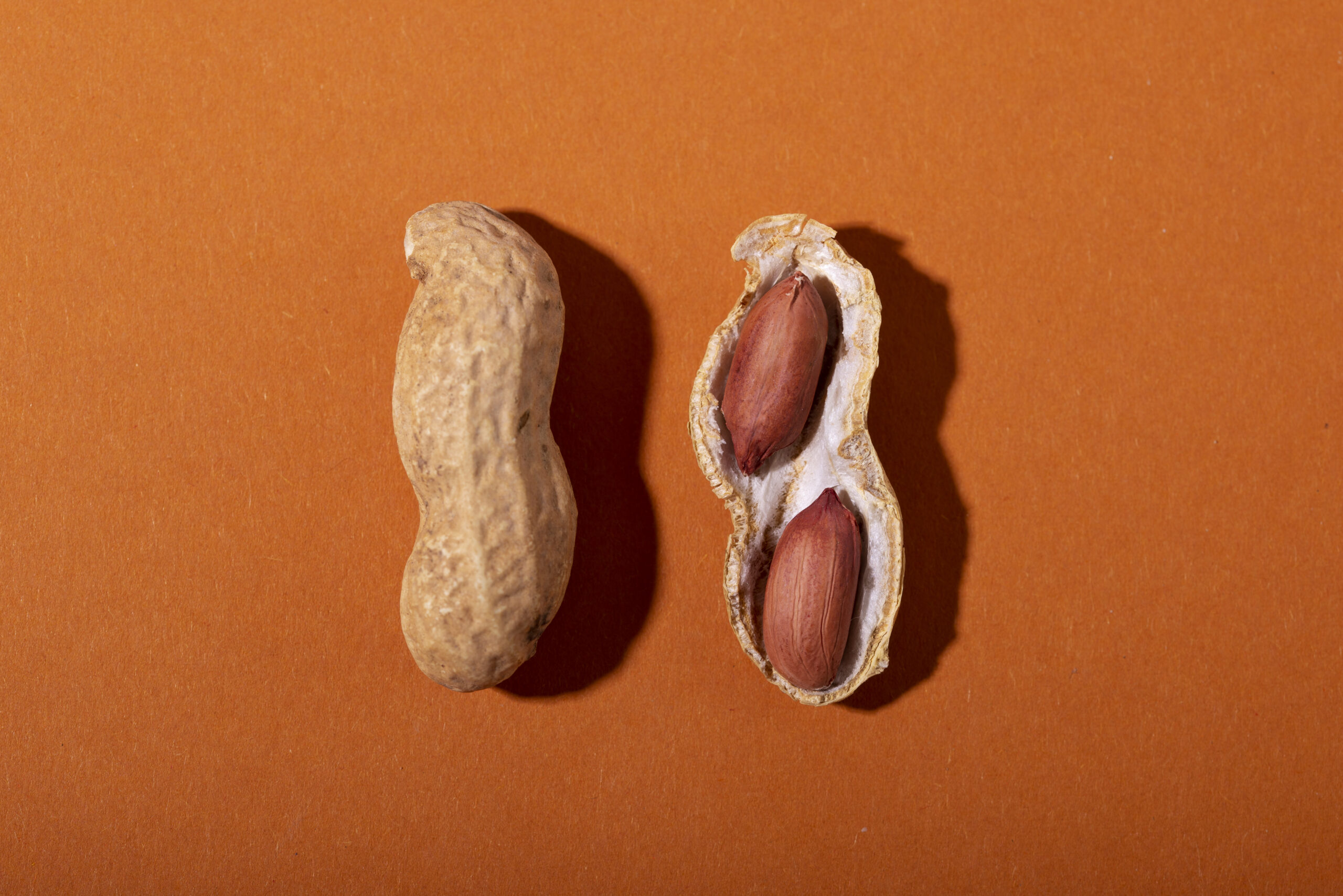 How Sudanese Peanuts Power the Food Industrial