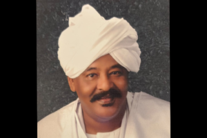 Explore how Gezira Hila Impex connects Sudanese agricultural commodities, including Gum Arabic, sesame, and groundnuts, to global markets with 28+ years of trade experience.