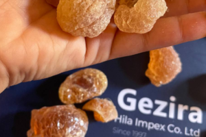 Sudanese Arabic Gum (Hashab and Talha) raw crystals for wholesale export by Gezira Hila Impex